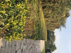 iphone_upload_pic-天目湖涵田度假村