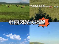 -呼伦贝尔大草原