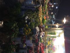 曲阳花鸟市场-曲阳花鸟市场(曲阳路店)