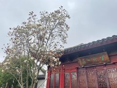 -八大山人梅湖景区