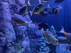 -成都浩海立方海洋公园