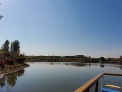 -东郊湿地公园