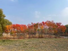 -长春北湖公园