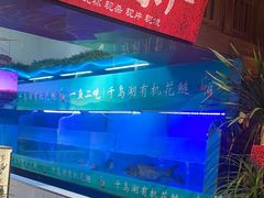 -永安水煮活鱼·仪征土菜院子