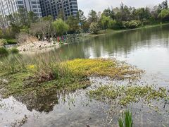-美兰湖景区