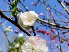 -滨湖塘西河公园