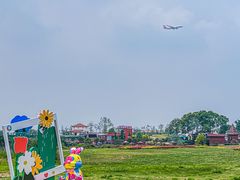 -空港花田景区