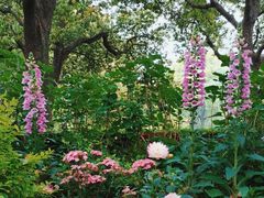 -上海共青森林公园