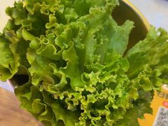 -杨记齐齐哈尔烤肉(总店)