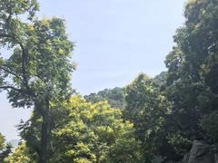 -北京鹫峰国家森林公园