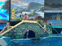 -海合安成都极地海洋公园