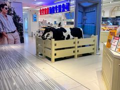 -红星前进面包牛奶公司(君太店)