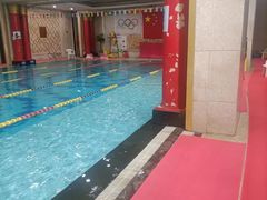 -飞鲨游泳培训学校