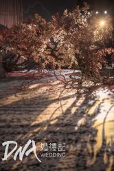 -DNA Wedding 婚礼记(上海店)