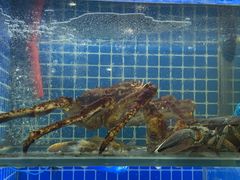 -金龙·打边炉(武进路店)