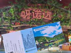 -呀诺达热带雨林