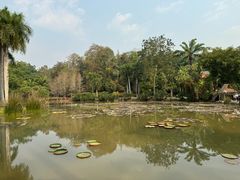 -中国科学院西双版纳热带植物园