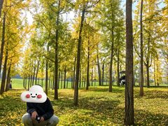 -汉长安城未央宫国家考古遗址公园