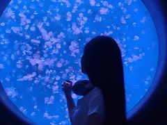 -江和美海洋公园