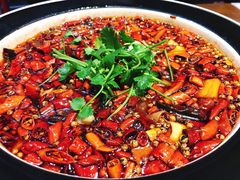 毛血旺-薛阿婆(北美新天地中心店)