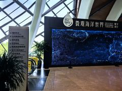 -抱抱地球咖啡馆(国家海洋博物馆店)
