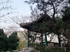 -宣武艺园