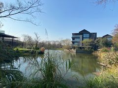 -木守西溪溪隐餐厅