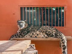 -青藏高原野生动物园