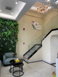 -苗医生草本科技祛痘