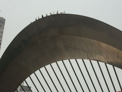 -海河外滩公园