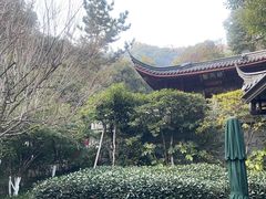 -十八棵（老龙井）御茶园(老龙井店)