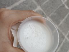 -洪馨椰子