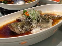 桂鱼清蒸桂鱼-凤栖酒店