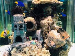 -太平洋海底世界