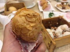 -乙龍天