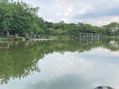 -番禺大夫山森林公园