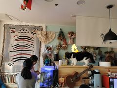 -平行世界·猫咖(首经贸店)