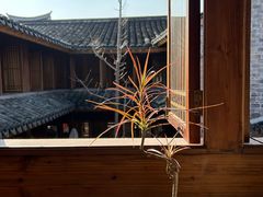 -新月集庭院咖啡馆(老邮局店)