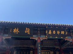 -关林