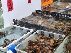 -大树头·花园餐厅(市桥店)