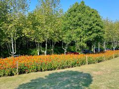 -钟山体育运动公园