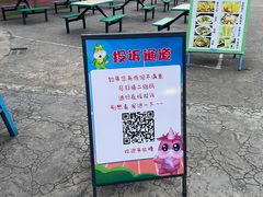 -南湖梦幻岛