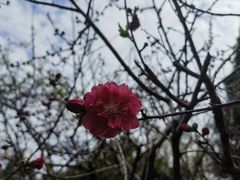 -乌山风景区