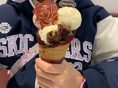 -哈根达斯(武汉天地店)