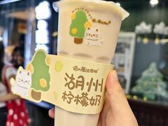 -猫的魔法密林(衣裳街店)