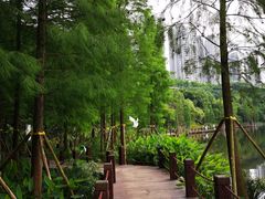 -重庆彩云湖湿地公园