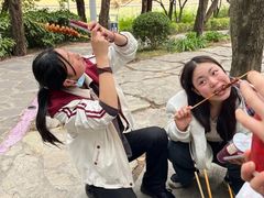 -嘉定紫藤园