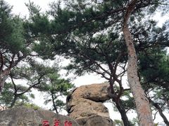 -崂山仰口游览区