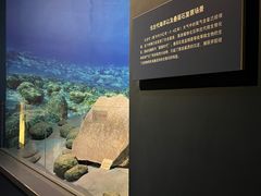 -天津自然博物馆