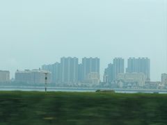 -星光岛